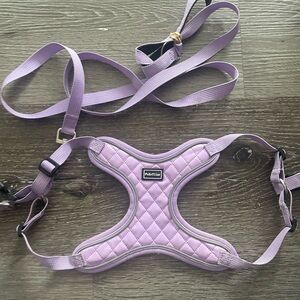PetSafe Lavender Dog Harness and Leash Set